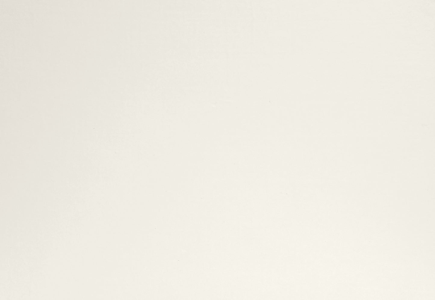 JOHANNES Palazzo - Acryllack & Haftprimer