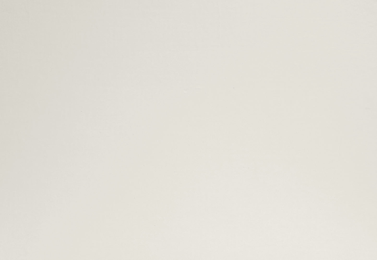 VIKTOR Palazzo - Acryllack & Haftprimer